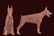Design set Doberman.Vector engraving, an Animal Illustration by Vector Engraving (Thumbnail 2 of 2)