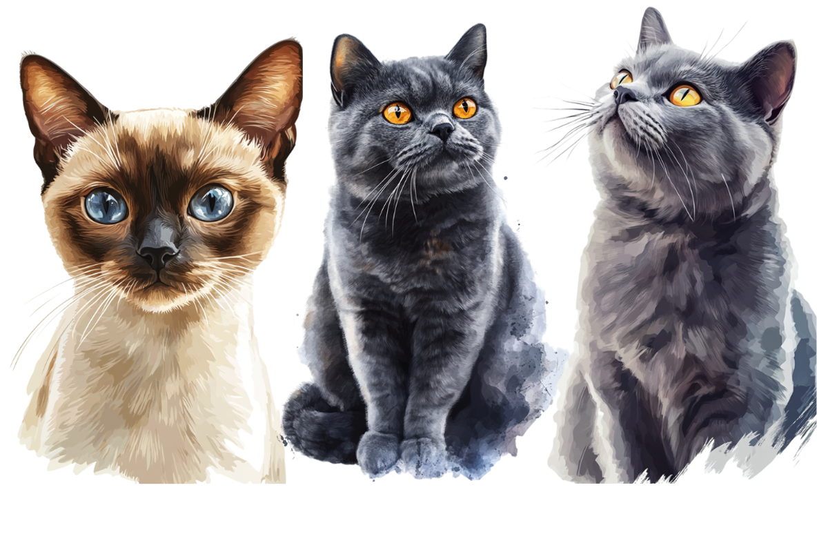 Watercolor Cat Breeds – Volume 1, an Animal Illustration by PrintHaven Designs (Photo 5 of 10)