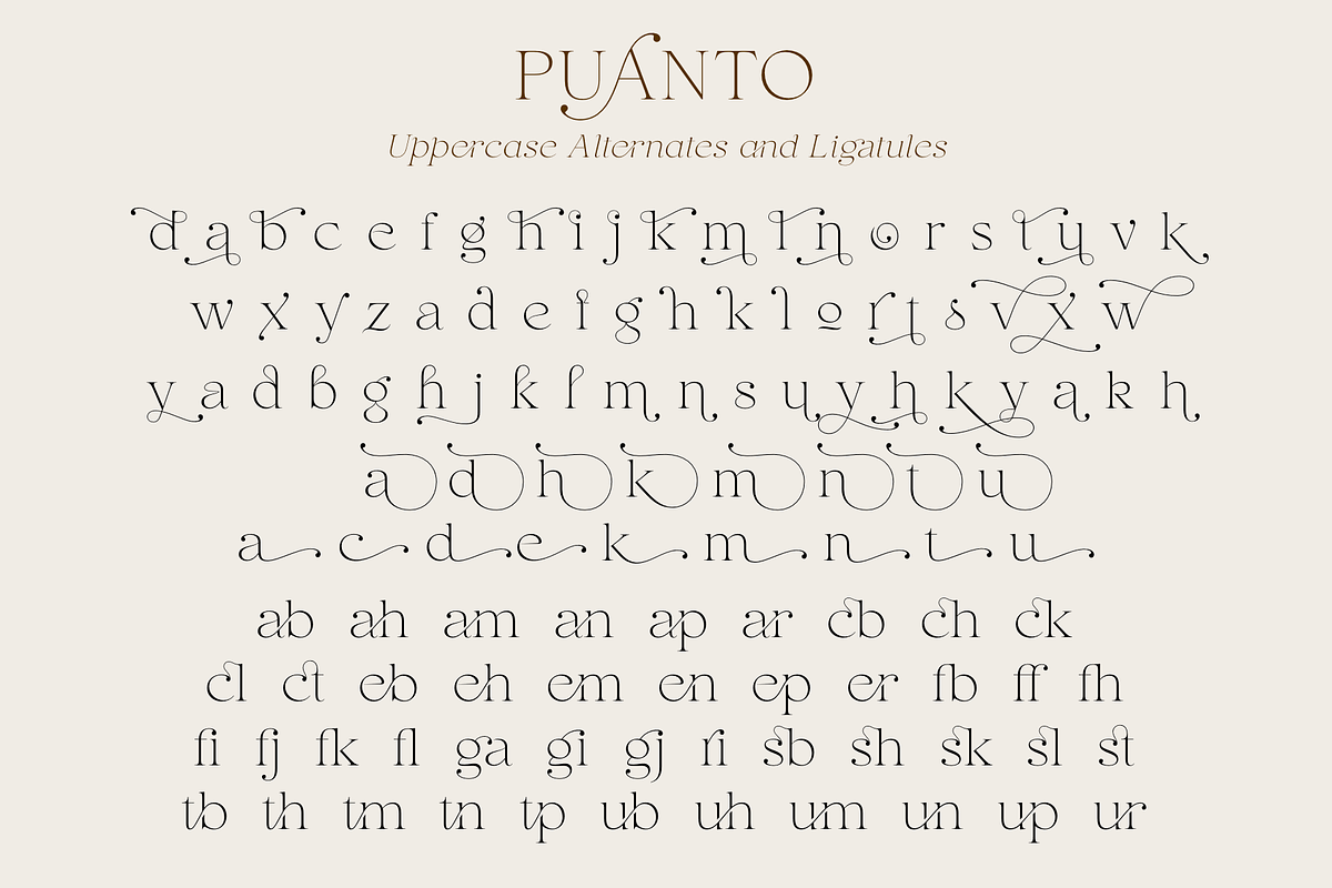 Puanto, a Serif Font by Larin Type Co. (Photo 15 of 15)