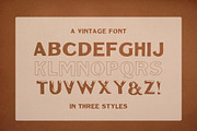 BS Thaddeus | Vintage Font Family, a Slab Serif Font by BS Type Co. (Thumbnail 3 of 4)
