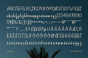 CS Royce – Script Font, a Script Font by Craft Supply Co. (Thumbnail 8 of 8)