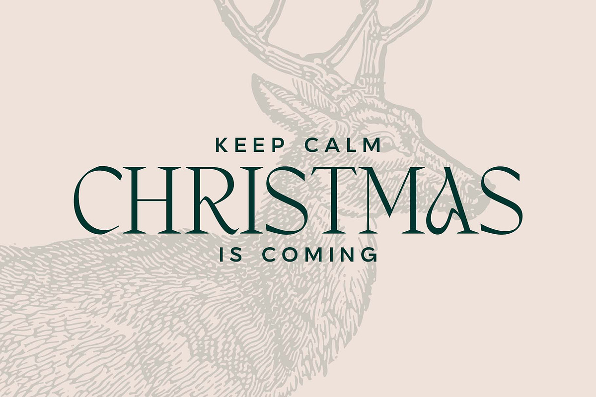 Holiday Season | Christmas Fonts, a Serif Font by Headfonts (Photo 3 of 9)