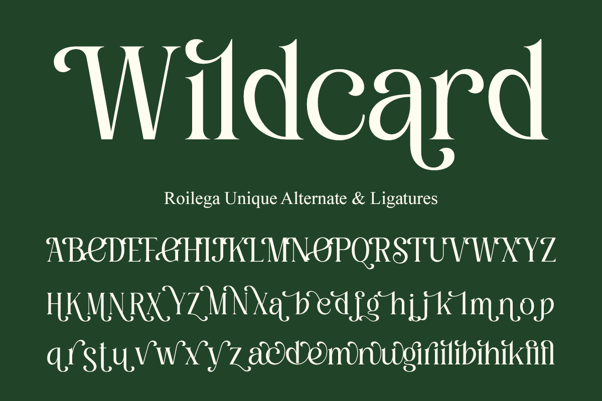 Roilega - Luxury Brand Family Font, a Serif Font by Pandeka Studio (Photo 10 of 11)