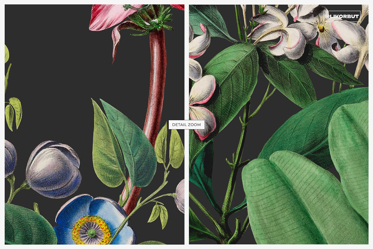 Exquisite Botanical Floral Pattern, a Pattern Graphic by likorbut (Photo 8 of 14)