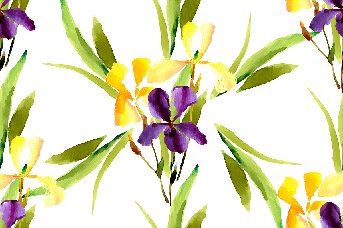 №3 Set watercolor irises vector, a Decorative Illustration by Rasveta (Photo 2 of 5)