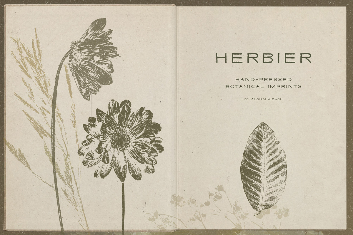 Hand-Pressed Botanical Imprints, an Object Graphic by alonahaidash (Photo 13 of 13)