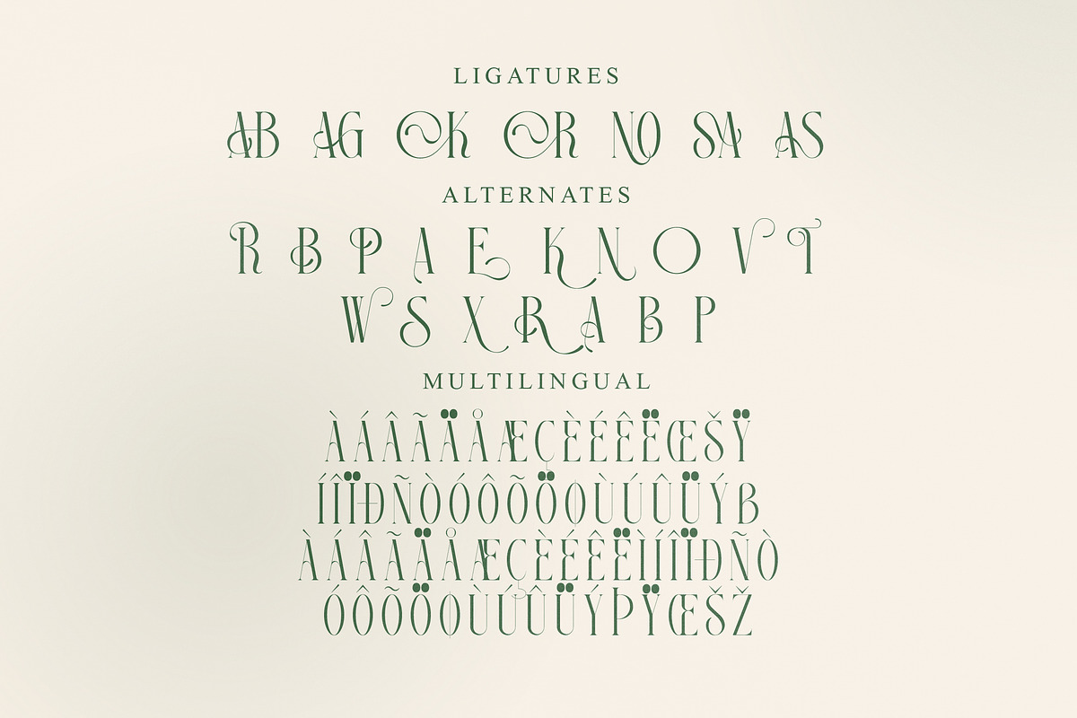 Georgiano Modern Serif Font, a Serif Font by Storytype Studio (Photo 14 of 15)