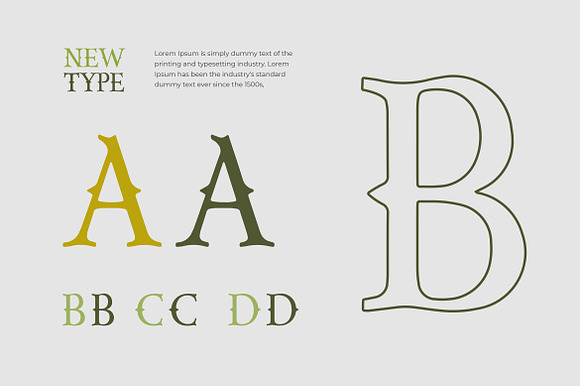 CAPORION Vectorian Serif Font preview 7