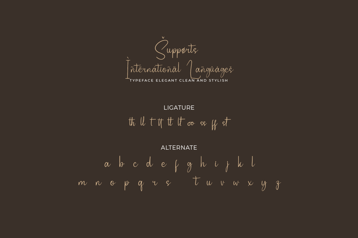Nettally, a Script Font by twinstd (Photo 11 of 13)
