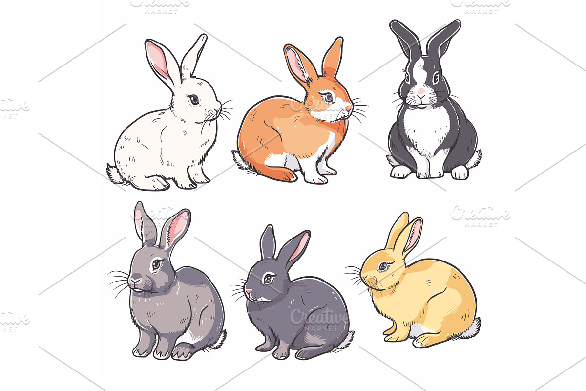 Six handdrawn rabbits, various, an Animal Illustration by Vectorstockersland