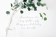 Rather Pale Script, Logos & Clipart, a Script Font by eclosque (Thumbnail 10 of 14)
