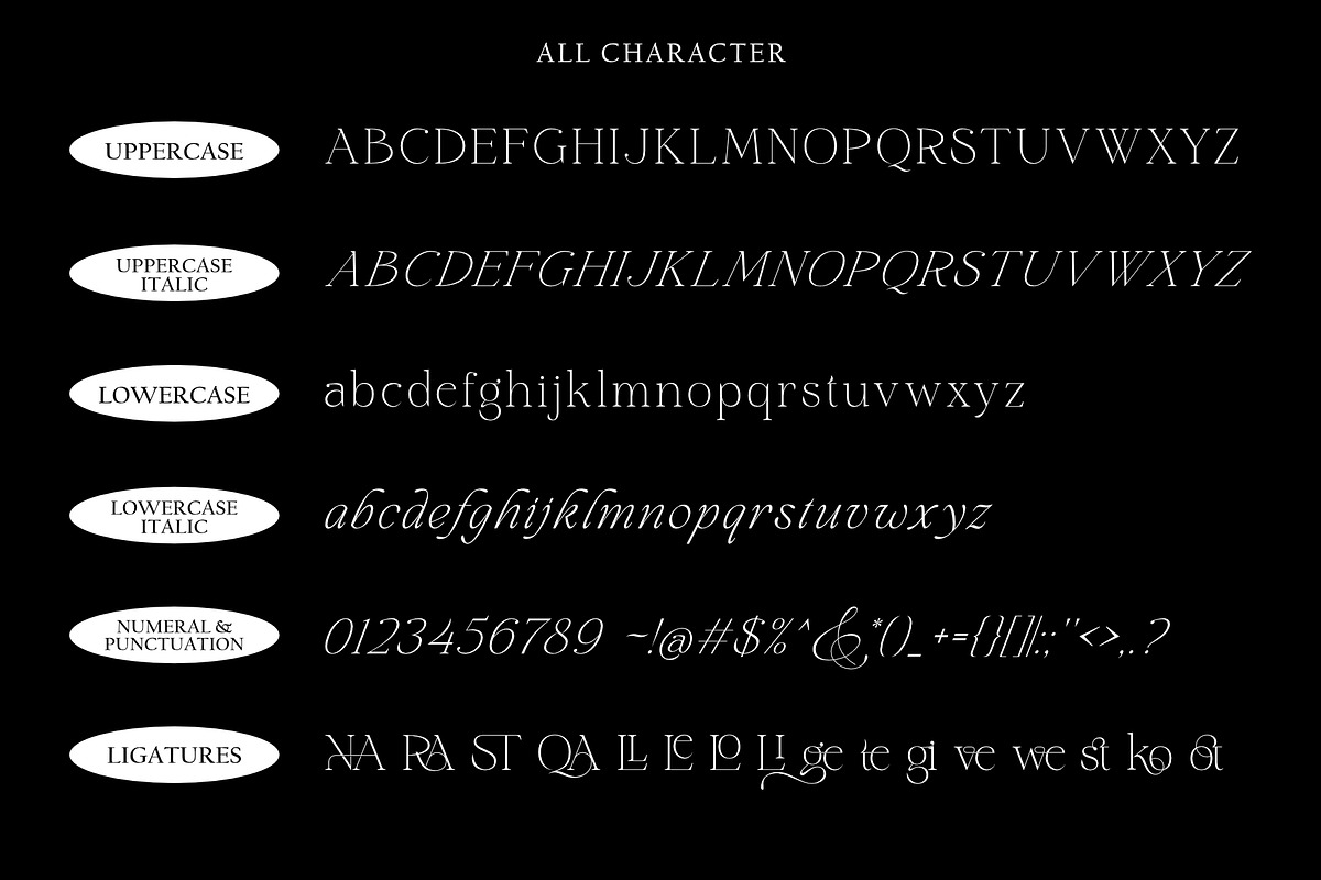 Elagern | Modern Stylish Serif, a Serif Font by Sealoung