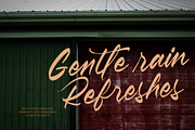 Pluretta Vintage Modern Brush Font, a Serif Font by Letterena Studios Script (Thumbnail 7 of 20)