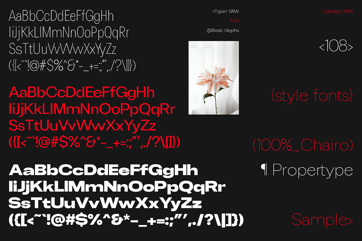 ChairoNeue, a Sans Serif Font by Propertype (Photo 14 of 14)
