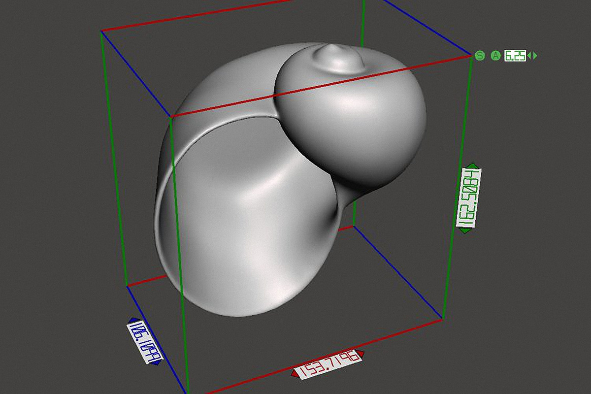 7 Shell Planter for 3D Printing, an Object 3D Model by Kseniya-Omega (Photo 11 of 17)