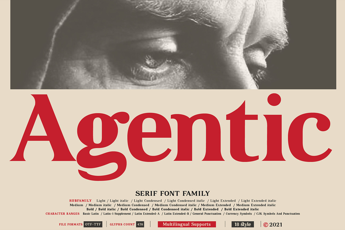 Agentic - Serif font family, a Serif Font by Artistic & Unique (Photo 2 of 13)