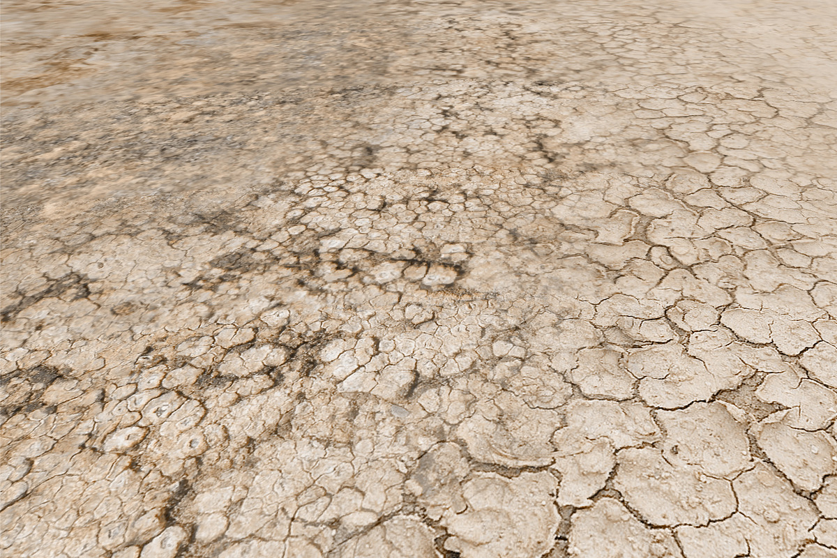 Ground Texture Set, a Textures & Material 3D Model by Beatheart Creative Studio (Photo 4 of 13)