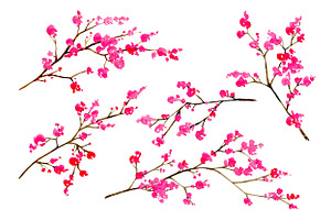 Watercolor Blossom Floral Branches