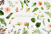 Living Coral - Duality Set, an Illustration by studioequinox (Thumbnail 4 of 16)