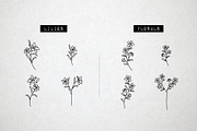 60 Flower and Floral Icons - Vol 2, an Outline Icon by Hatch Design Workshop (Thumbnail 6 of 10)