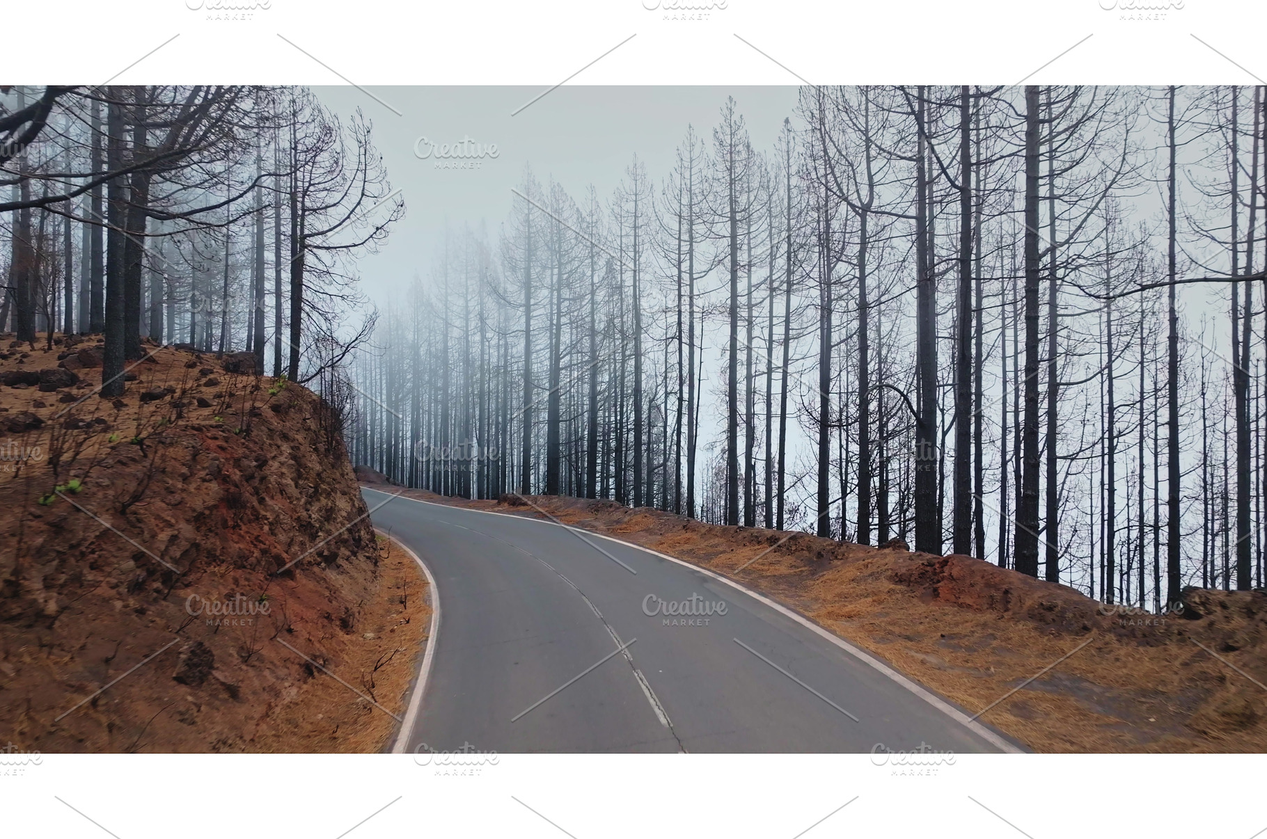 Tenerife road winding through burnt, a Nature Photo by Goinyk