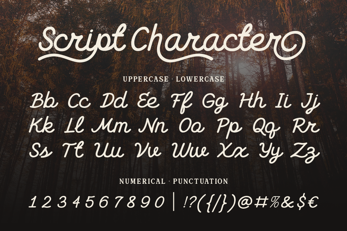 Rofina, a Serif Font by Burntilldead (Photo 5 of 11)