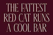 Baige Distort, a Serif Font by Craft Supply Co. (Thumbnail 5 of 8)