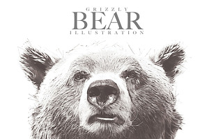Grizzly Bear Illustration