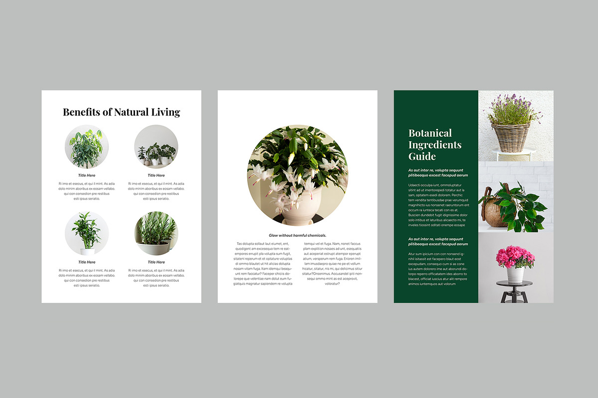 Botanical Guide to Natural Living preview 4