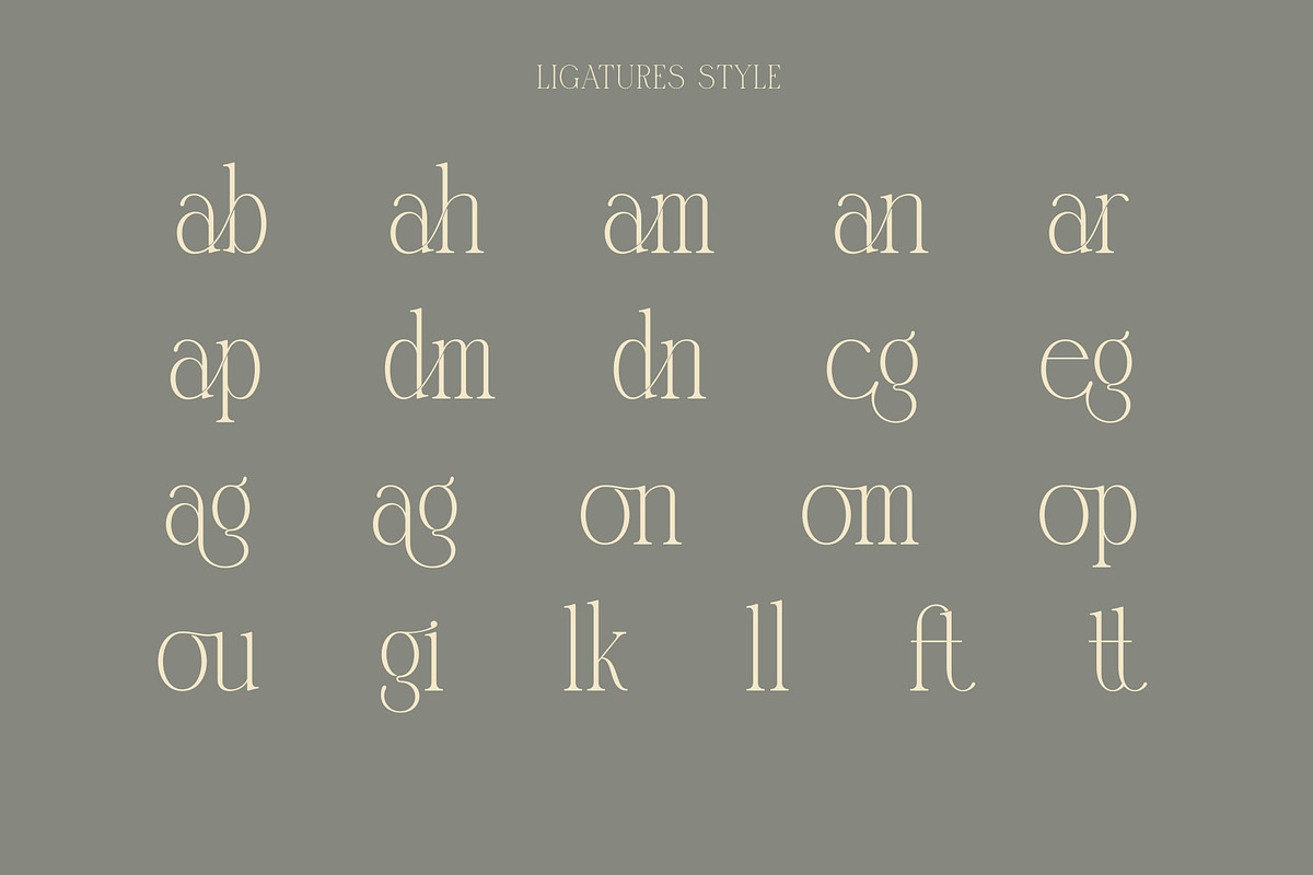 Blunder Modern Serif Typeface, a Serif Font by Alfinart (Photo 9 of 10)