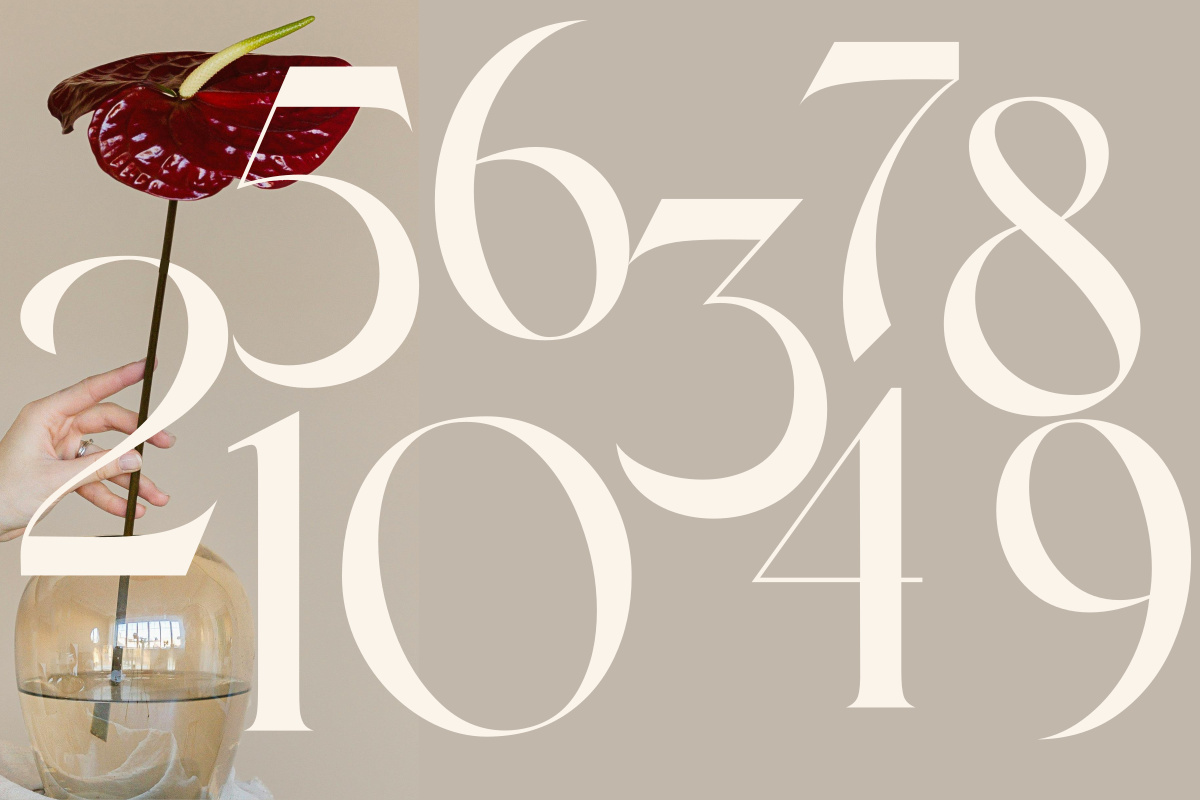 Brivonne Royale, a Serif Font by zaaintype (Photo 9 of 12)