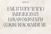Golsuka Kadila - Hand Crafted Hybrid, a Serif Font by Letterhend Studio (Thumbnail 8 of 9)