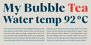 Vivala Marbod, a Serif Font by VivalaType (Thumbnail 4 of 13)