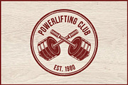 10 Vintage Gym Fitness Logo Badge, a Healthcare Illustration by Artivon (Thumbnail 11 of 11)