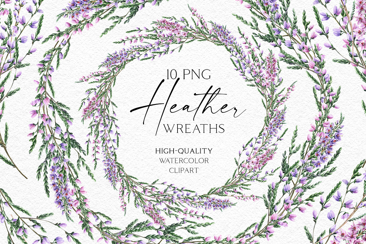 Watercolor Heather illustrations, an Illustration by Olga Koelsch (Photo 8 of 13)