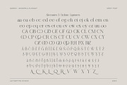Qareky a Modern & Elegant Serif, a Serif Font by Lettertype Studio (Thumbnail 8 of 20)
