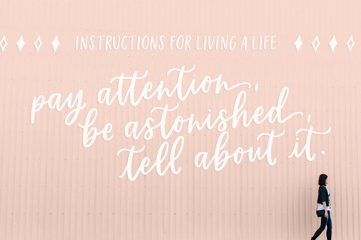 Homebody | Calligraphy Script Font preview 6