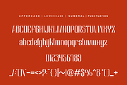 Segstafco Genstanko, a Serif Font by QR Design Studio (Thumbnail 10 of 14)