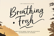 Breathing Fresh Script, a Script Font by sizimon (Thumbnail 1 of 10)