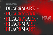 TBJ One Of A Kind Serif Font Family, a Serif Font by Taboja Studio (Thumbnail 7 of 21)