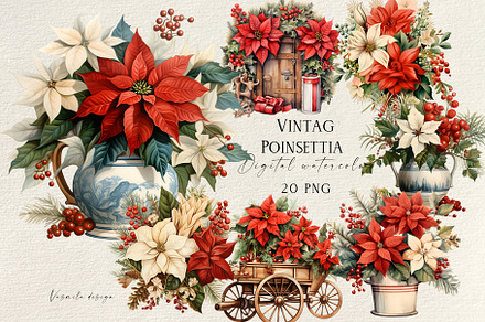 Vintage Christmas Poinsettia Flowers, a Decorative Illustration by Vasmila