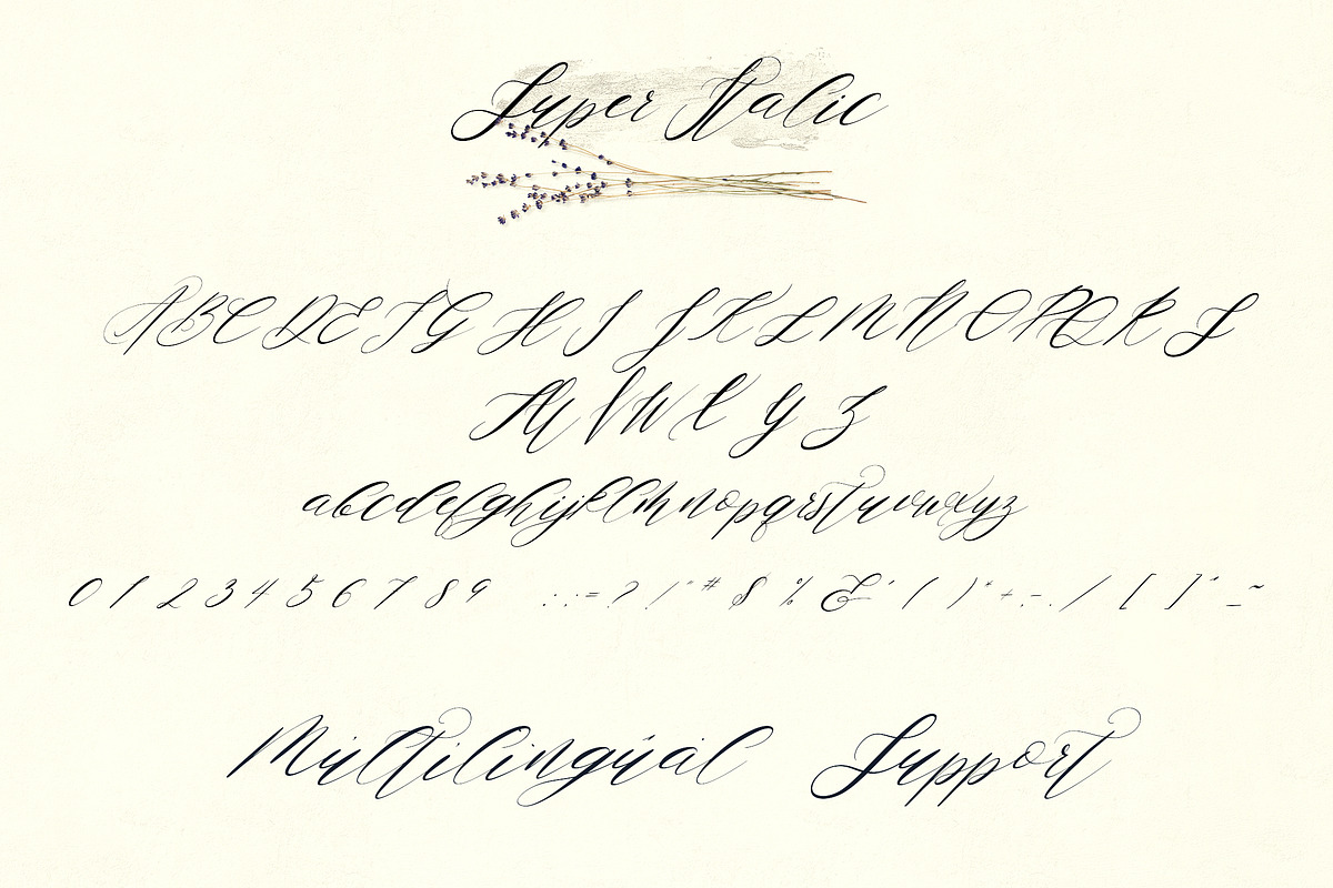 Zemarah script - 3 styles + Extras, a Script Font by VP Fonts (Photo 12 of 14)