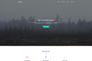 Moltus - Onepage & Coming Pages, a HTML Template by Pichforest Studio (Thumbnail 2 of 3)