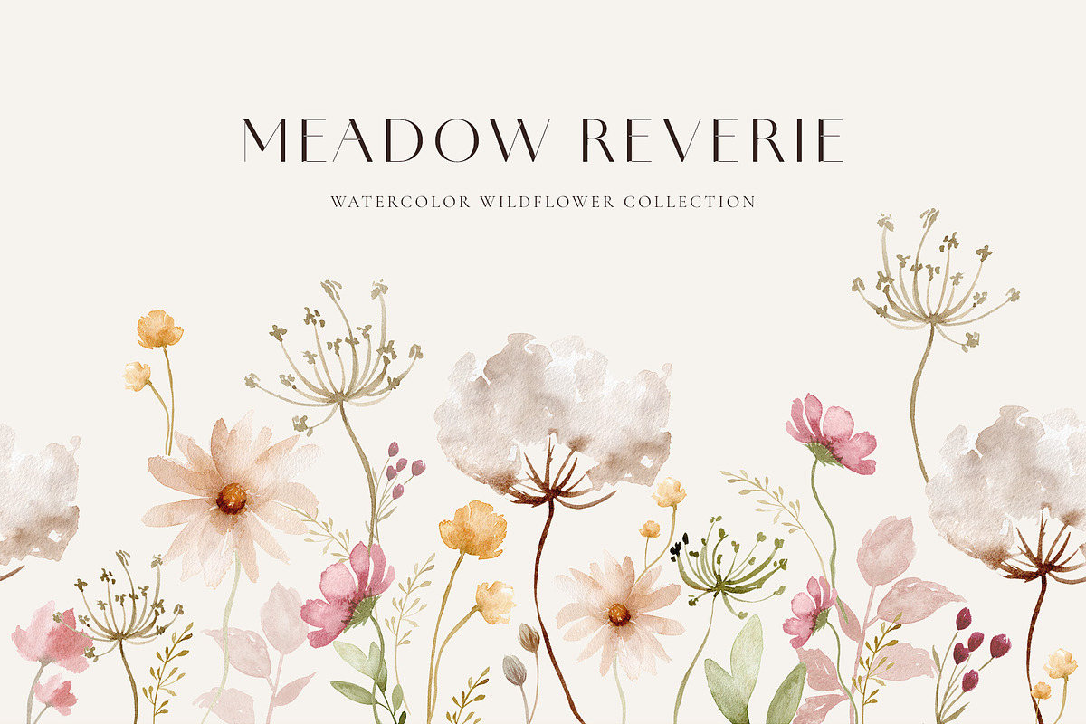 Autumn Wildflower Watercolors, a Decorative Illustration by Liliia Polos Illustration (Photo 1 of 12)