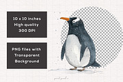 Penguin Clipart Graphics, an Animal Illustration by PaintPixelCo (Thumbnail 2 of 10)
