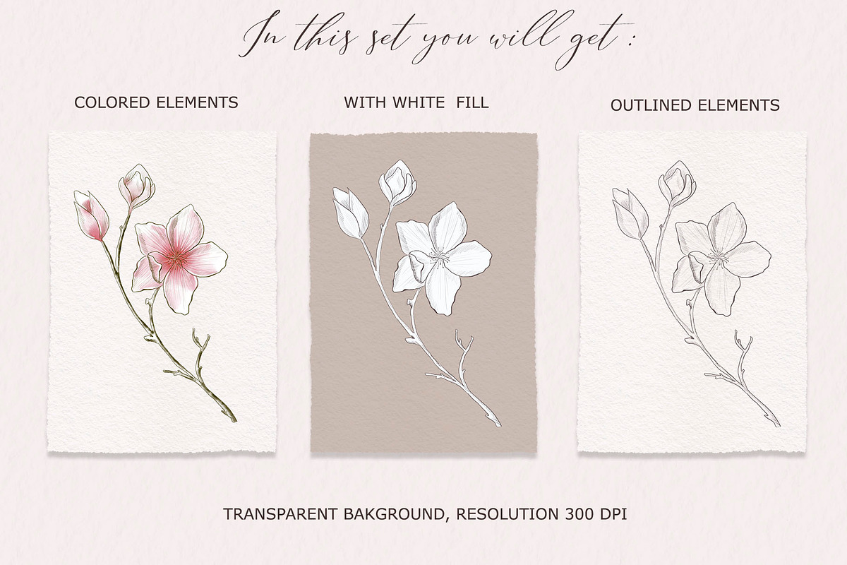 Cherry blossom cliparts and patterns, an Illustration by TatiArti (Photo 3 of 12)