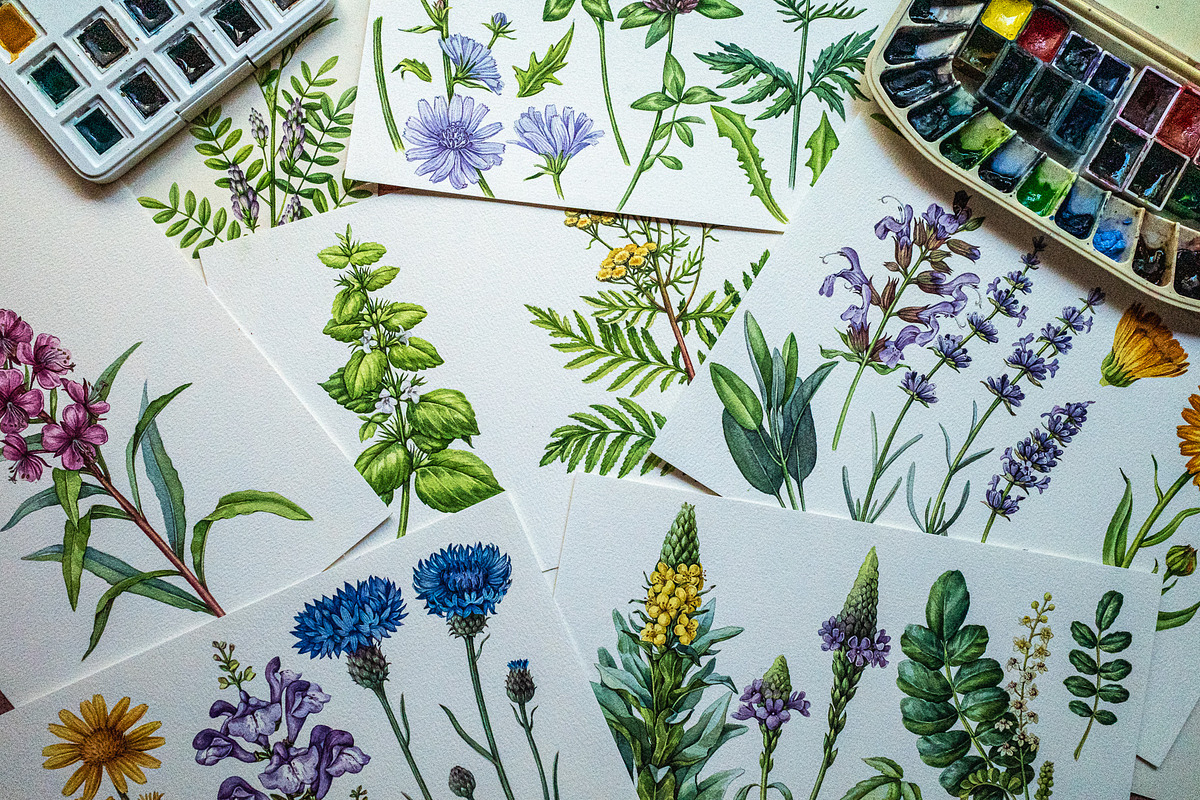 Herbal Apothecary Brand Kit, a Healthcare Illustration by AnitaPol (Photo 10 of 18)