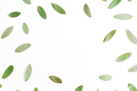 Leaf frame featuring frame, copyspace, and mock up, an Arts & Entertainment Photo by Floral Deco