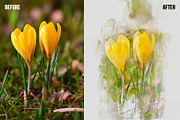 Watercolor Paint Photoshop Template, an Action Add-On by Shovajit (Thumbnail 5 of 5)