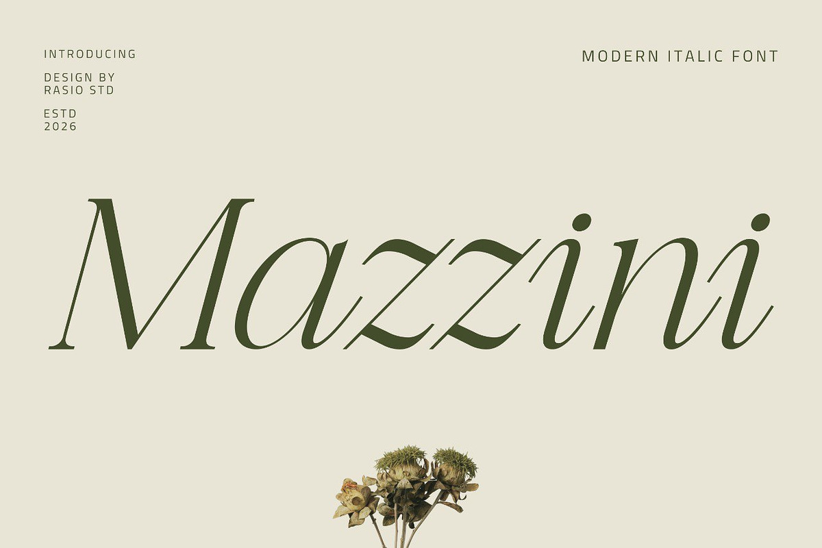 Mazzini Modern Italic Font, a Serif Font by Rasio Studio (Photo 1 of 8)